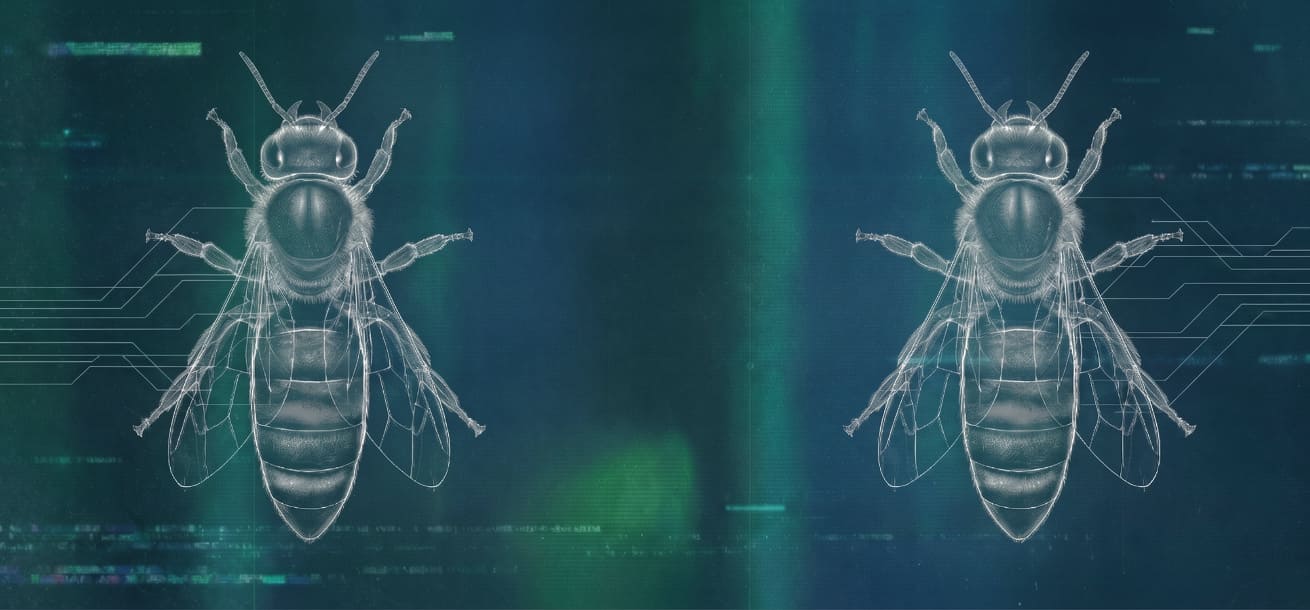 Microscopía Apícola